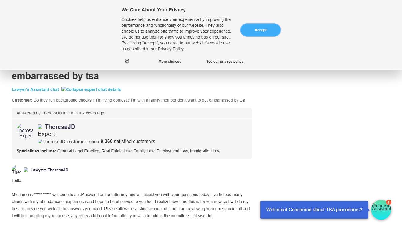 Do TSA Run Background Checks for Domestic Flights?